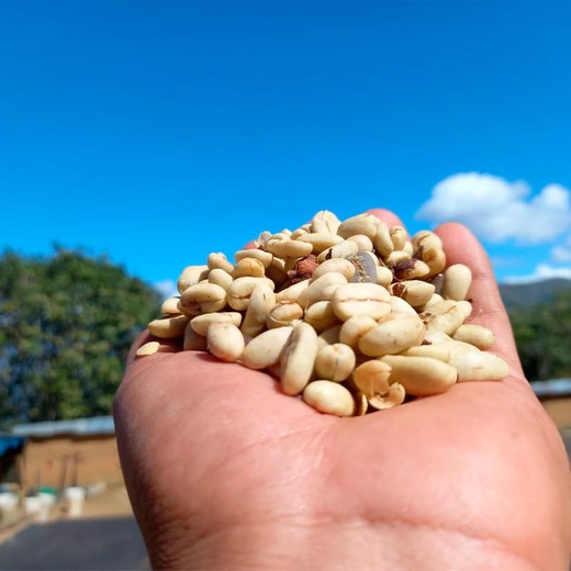 imagen de nuestro café